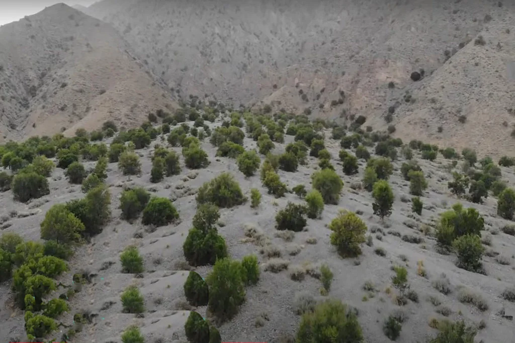 Hazarganji Chiltan National Park