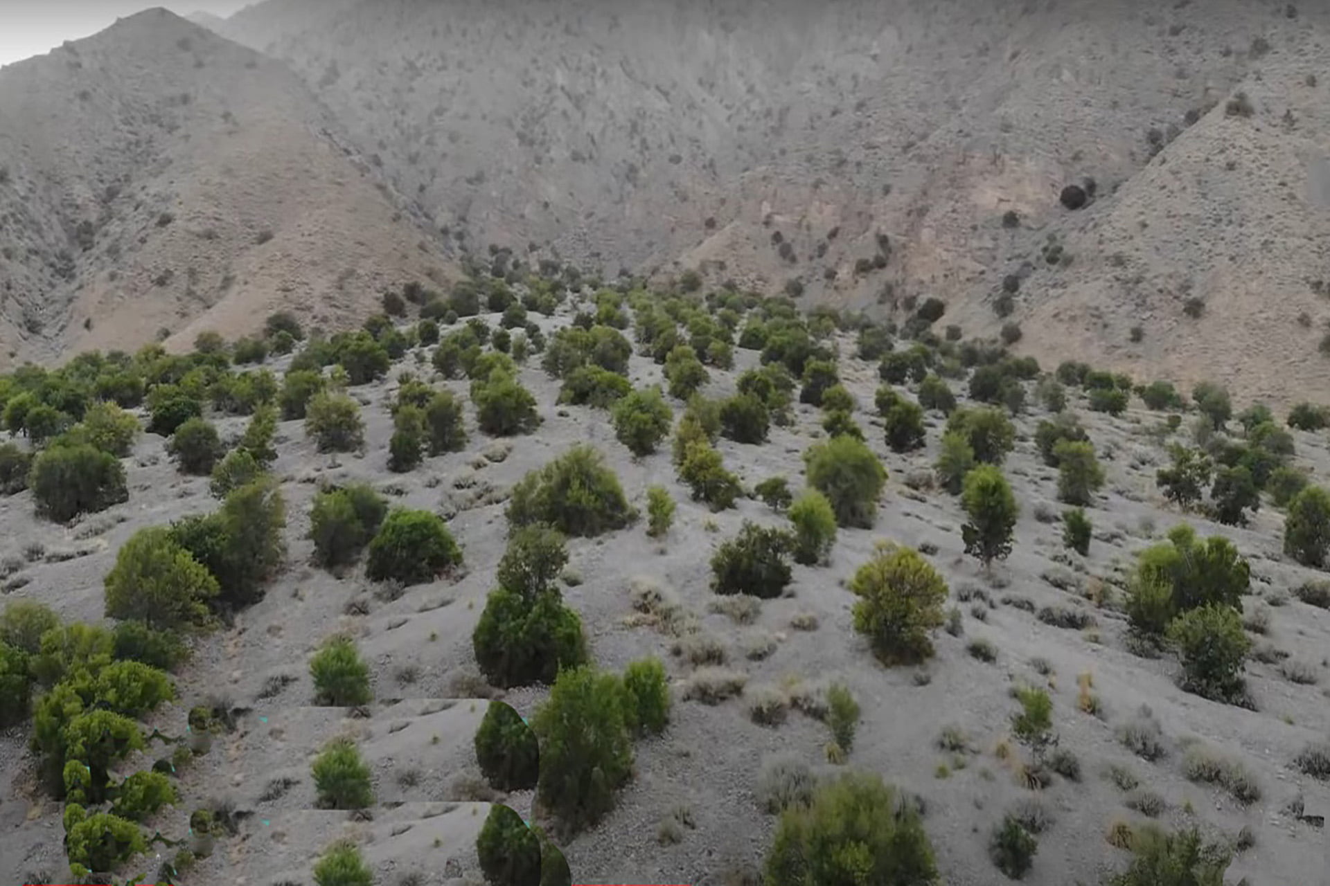 Hazarganji Chiltan National Park: A Sanctuary for Endangered Species