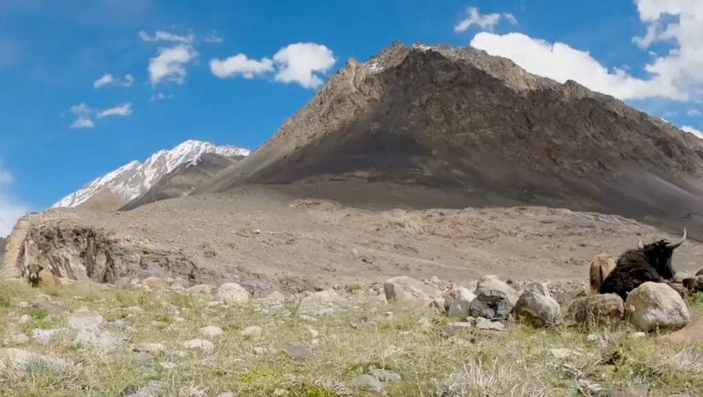 Khunjerab National Park: Exploring Pakistan's High-altitude ...