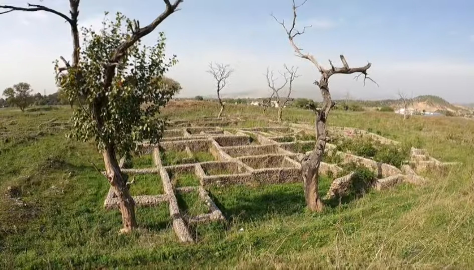 The Fascinating History of Bhir Mound: An Archaeological Gem of Taxila